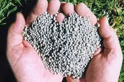 fertilizer in hand